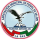 Asociación Municipal de Futsal La Paz